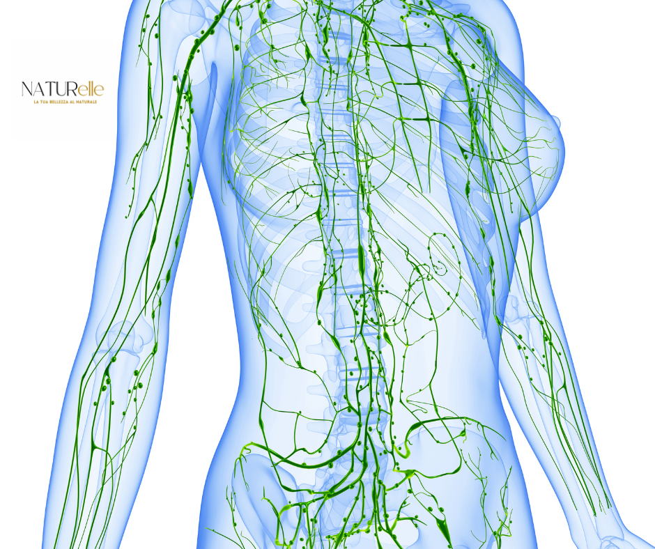 “Massaggi e Linfodrenaggio: Approccio Scientifico per Rassodamento e Benessere”